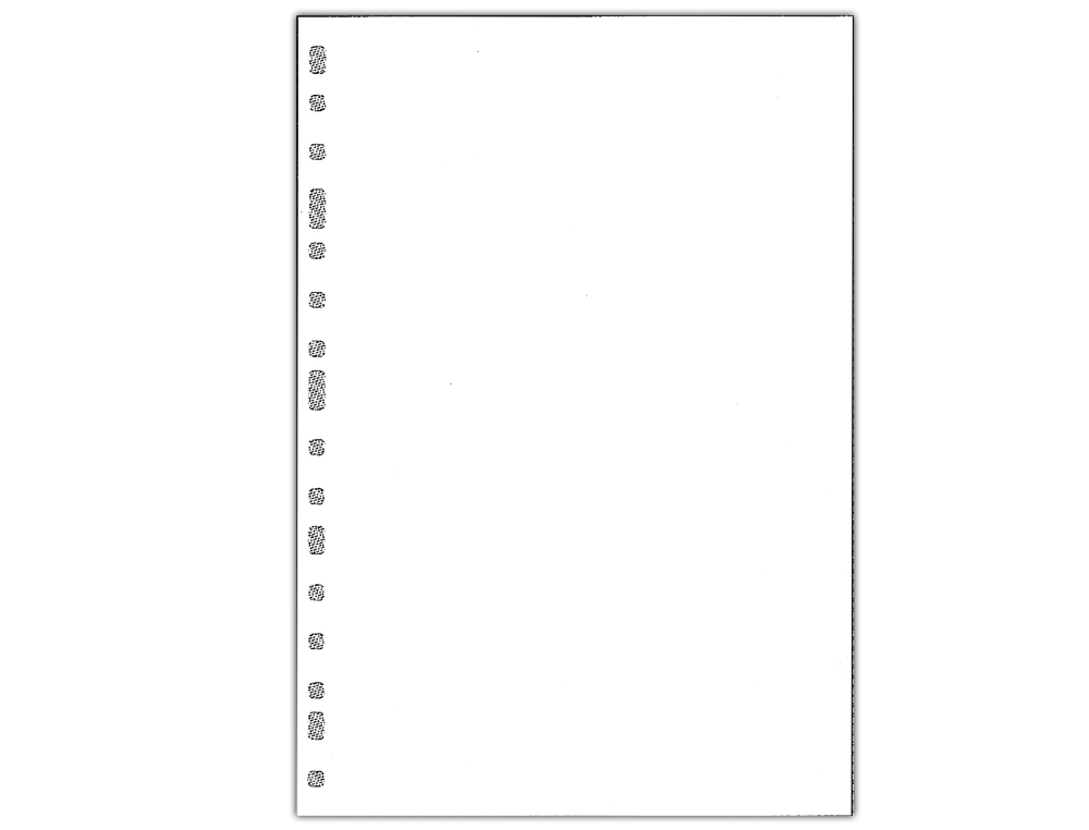 RECAMBIO MULTIFIN 3002 CUARTO NATURAL LISO BLANCO 50 HOJAS 155X215 MM