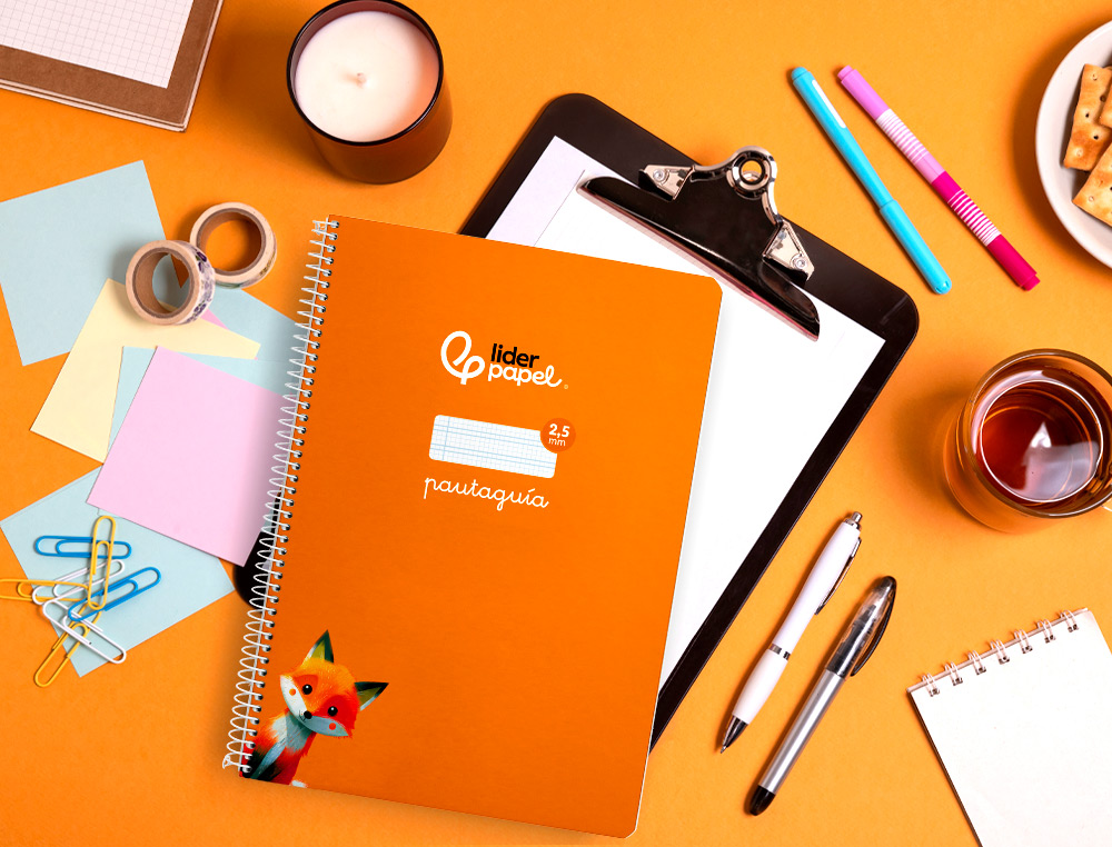 CUADERNO ESPIRAL LIDERPAPEL A4 PAUTAGUIA TAPA BLANDA 80H 75GR CUADRO PAUTADO 2,5MM COLOR NARANJA