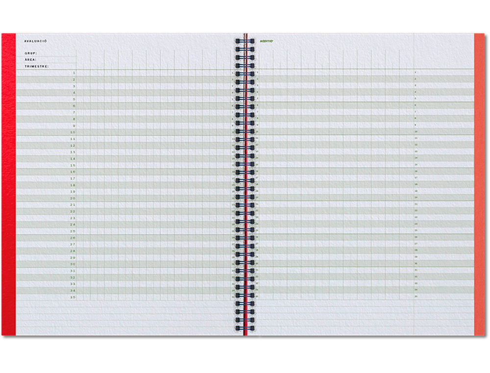 CUADERNO AULA PLANNER CATALAN ADDITIO DIN A4 160 PAGINAS PLAN ANUAL Y MENSUAL CON PROGRAMACION Y EVALUACION
