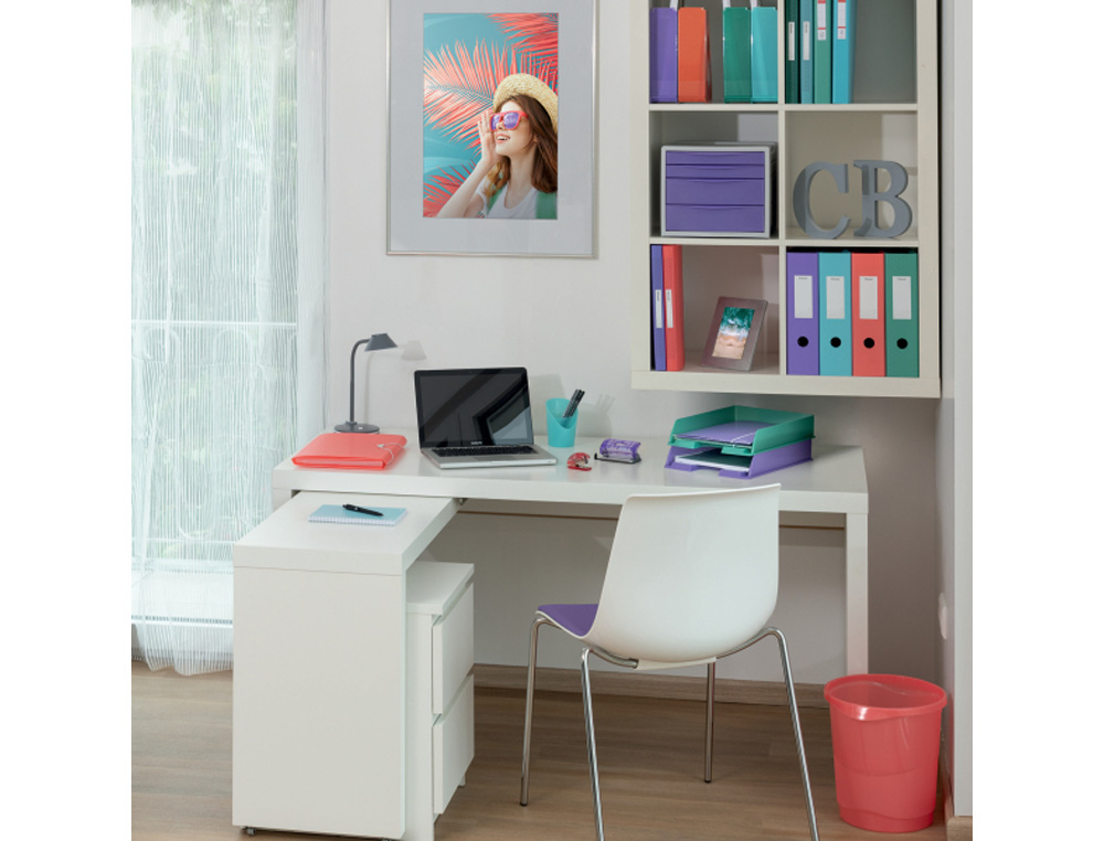 CARPETA CLASIFICADORA ESSELTE COLOUR BREEZE DIN A4 POLIPROPILENO 6 SEPARADORES COLORES SURTIDOS