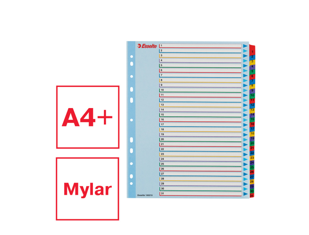 SEPARADOR NUMERICO ESSELTE CARTULINA BORRA Y ESCRIBE 1-31 JUEGO DE 31 SEPARADORES DIN A4 MULTITALADRO