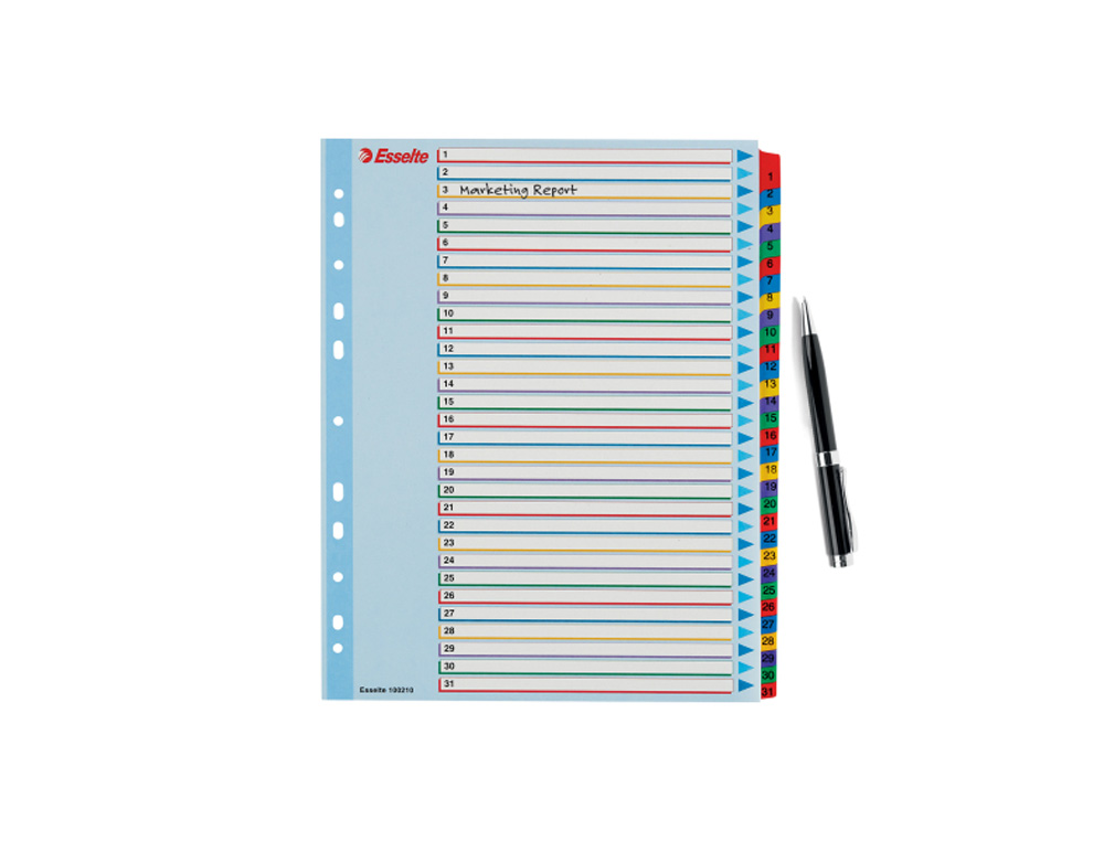 SEPARADOR NUMERICO ESSELTE CARTULINA BORRA Y ESCRIBE 1-31 JUEGO DE 31 SEPARADORES DIN A4 MULTITALADRO