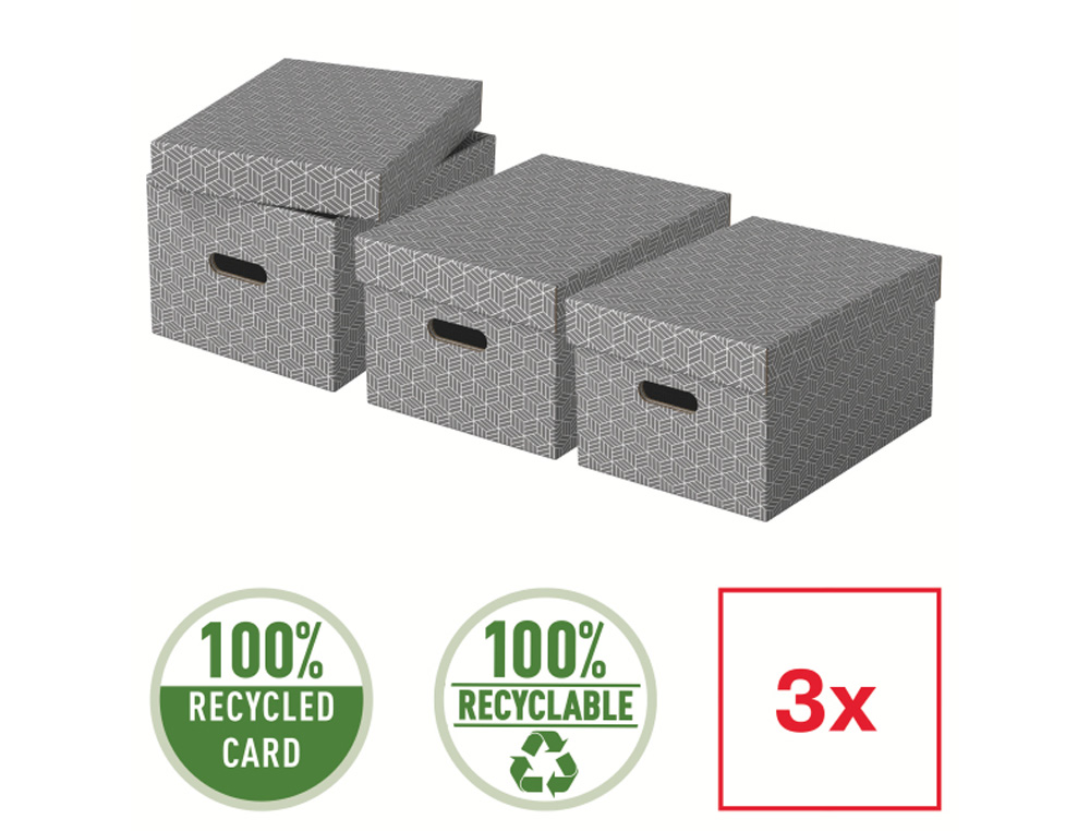 CAJA DE ALMACENAJE ESSELTE MEDIANA COLOR GRIS 365X265X205 MM) PACK DE 3 UNIDADES