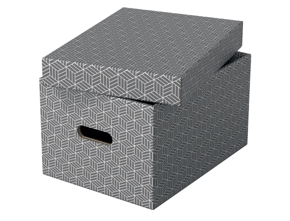 CAJA DE ALMACENAJE ESSELTE MEDIANA COLOR GRIS 365X265X205 MM) PACK DE 3 UNIDADES
