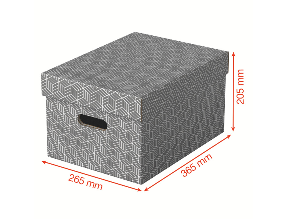 CAJA DE ALMACENAJE ESSELTE MEDIANA COLOR GRIS 365X265X205 MM) PACK DE 3 UNIDADES