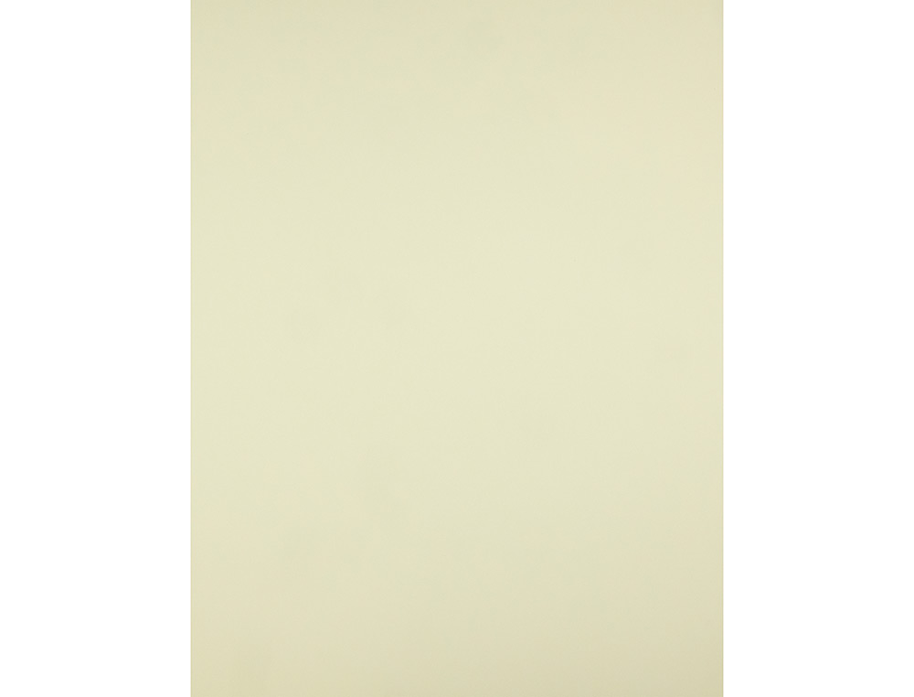 CARTULINA LIDERPAPEL 50X65 CM 180G/M2 AMARILLO