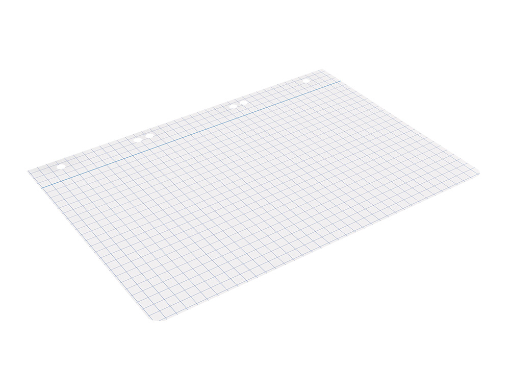RECAMBIO LIDERPAPEL CUARTO 100 HOJAS 60GR CUADRO 8MM CON MARGEN 6 TALADROS