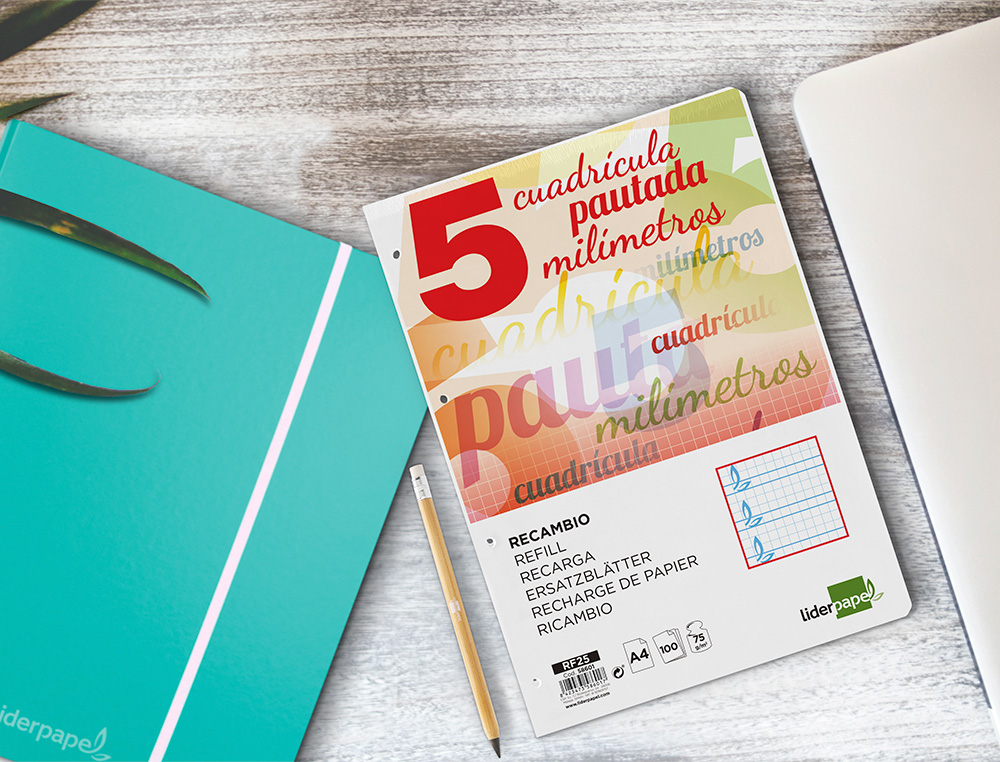 RECAMBIO LIDERPAPEL A4 PAUTAGUIA 100 HOJAS 75 G CUADRICULADO PAUTADO 5MM CON MARGEN 4 TALADROS