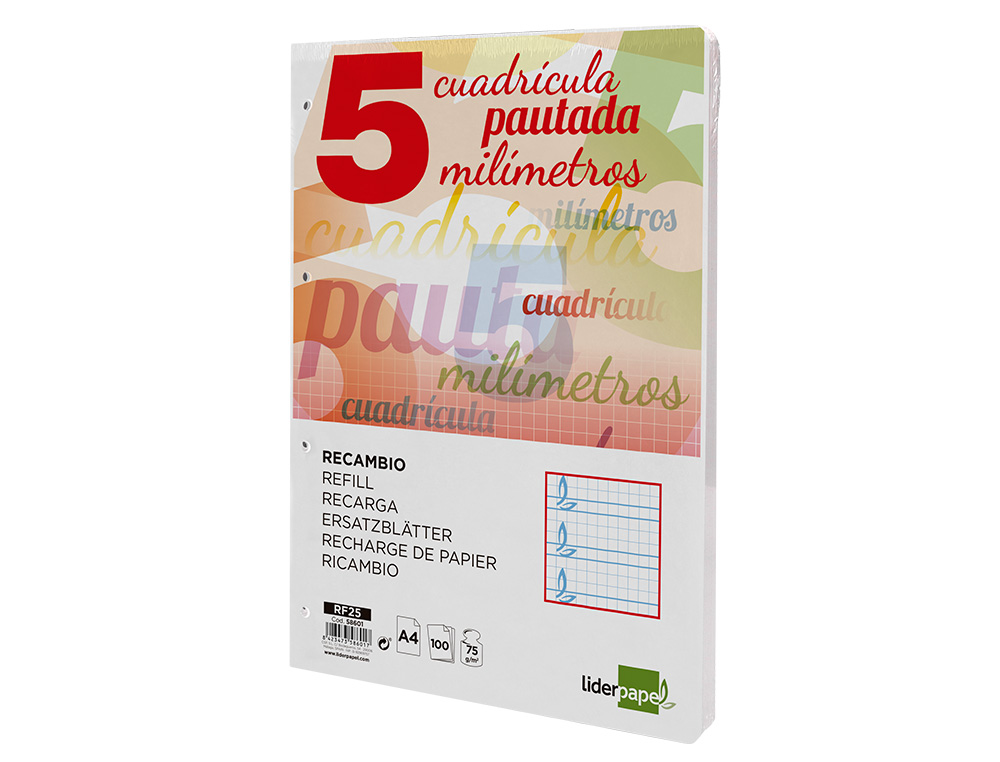 RECAMBIO LIDERPAPEL A4 PAUTAGUIA 100 HOJAS 75 G CUADRICULADO PAUTADO 5MM CON MARGEN 4 TALADROS
