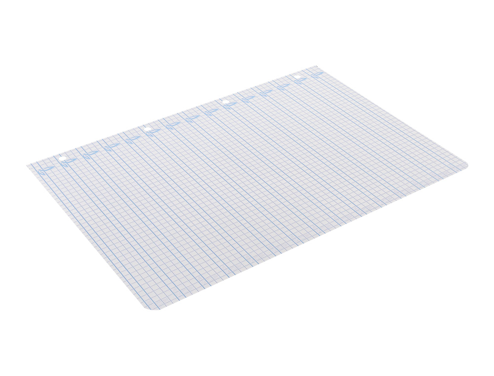 RECAMBIO LIDERPAPEL A4 PAUTAGUIA 100 HOJAS 75 G CUADRICULADO PAUTADO 5MM CON MARGEN 4 TALADROS