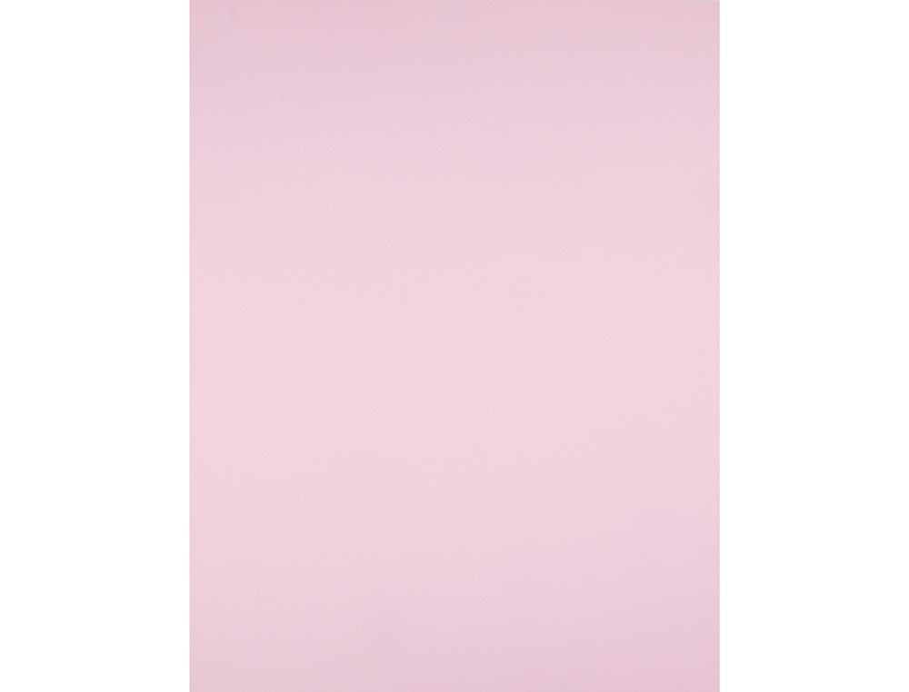 CARTULINA LIDERPAPEL 50X65 CM 180G/M2 ROSA PAQUETE DE 25 HOJAS