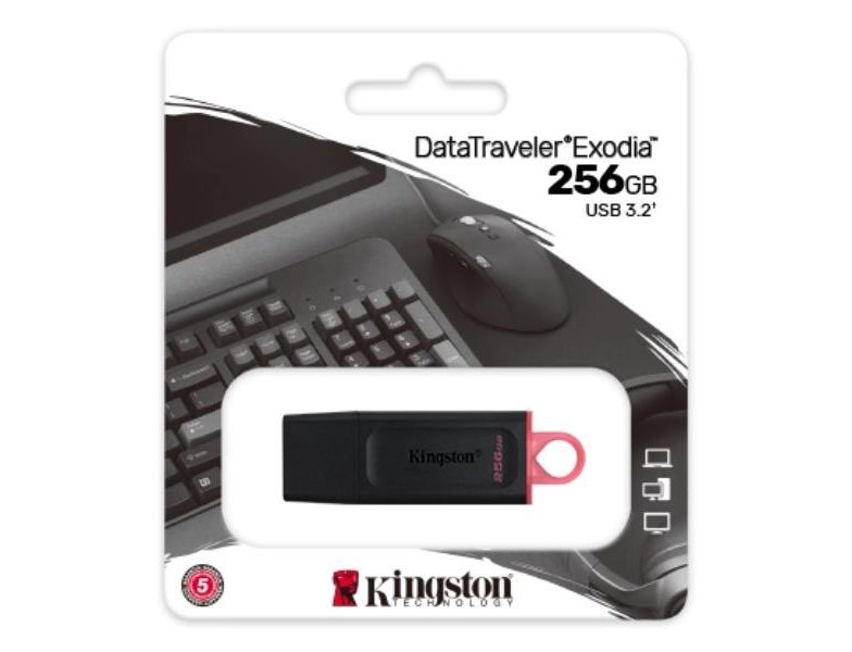 MEMORIA KINGSTON 256 GB USB 3.2